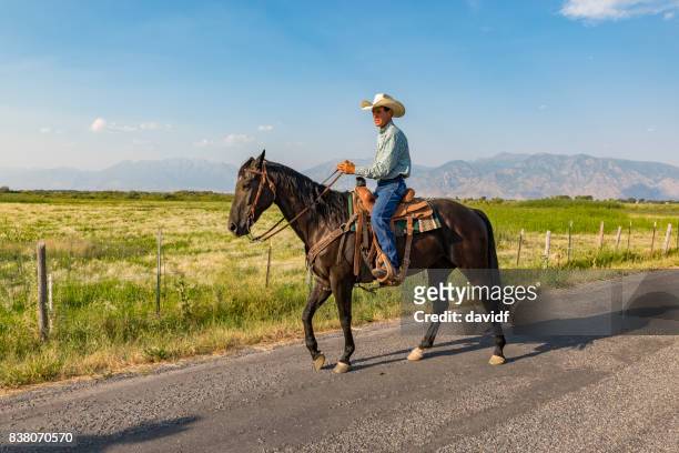 porträt eines bauern auf dem pferderücken - portrait hobby freizeit reiten stock-fotos und bilder