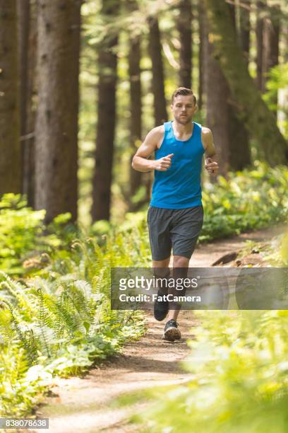 fit junger mann auf einem trail-lauf im wald - confidence male landscape stock-fotos und bilder