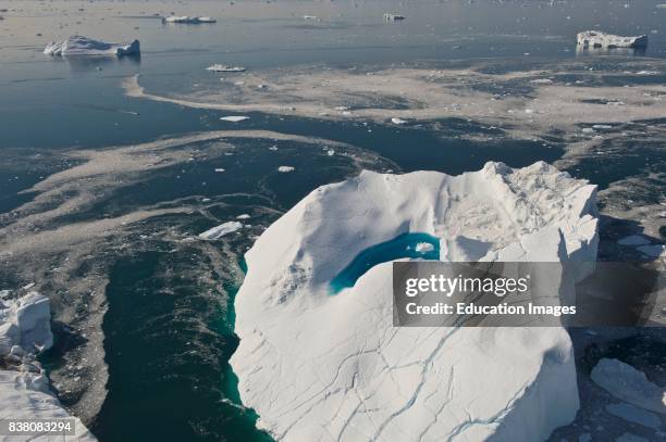 This is ice from the famous glacier Sermeq Kujalleq, one of the fastest glaciers on the world, producing ten percent of all the icebergs in...