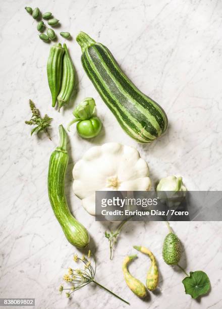 green vegetable gradient still life - 7cero stock pictures, royalty-free photos & images