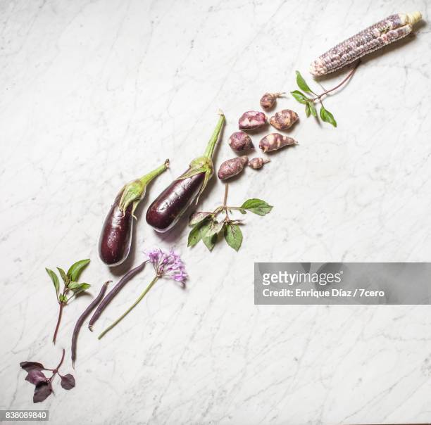 Purple Vegetable Collection