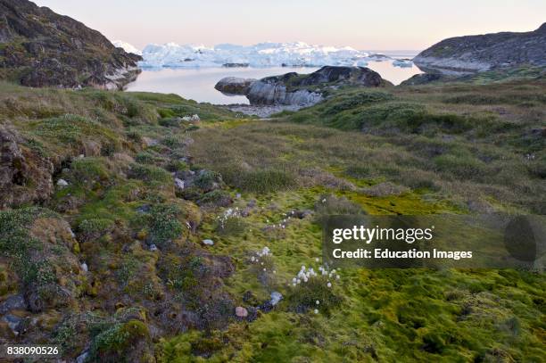 Western Inuit Photos and Premium High Res Pictures - Getty Images