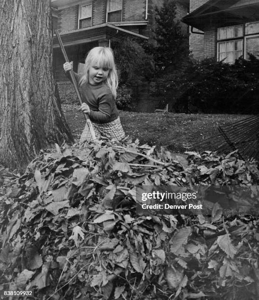 Something New Ellen McKay a visitor from Phoenix, Ariz., helps her host, Philip Mueller, 600 Lafayette St., with the fallen leaves in Mueller's yard...