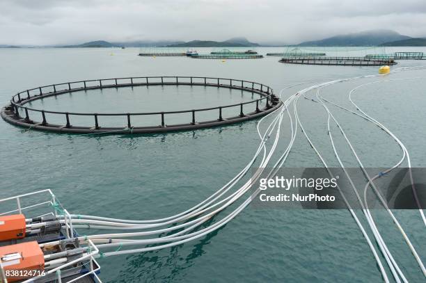 View of a salmon farm near Rolla and Andorja Island. Norway Royal Salmon informed that its operating revenue grew by 23.9 per cent in the second...