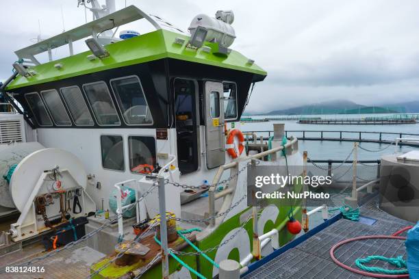 View of AQS Hermod cargo boat attached to a salmon farm-boat 'Sulatind' near Rolla and Andorja Island. Norway Royal Salmon informed that its...