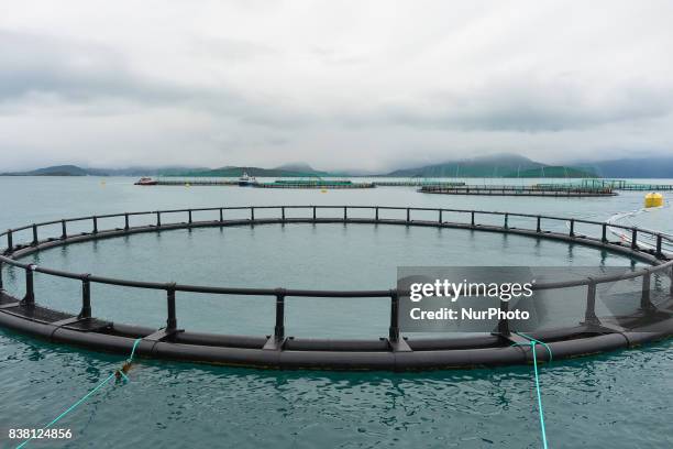 View of a salmon farm-boat 'Sulatind' near Rolla and Andorja Island. Norway Royal Salmon informed that its operating revenue grew by 23.9 per cent in...