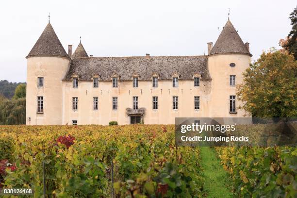 Chateau de Savigny-les-Beaune, near Beaune, Burgundy, France.