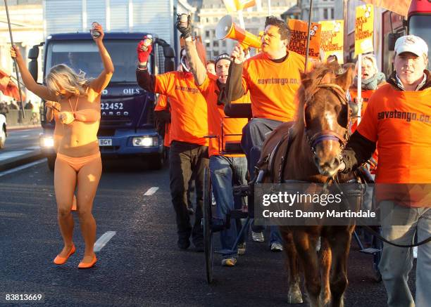 Dom Joly Promotes 'Tango' in a cart pulled by a Shetland pony, flanked by body painted orange page 3 models, and orange "umpa lumpas" by London...