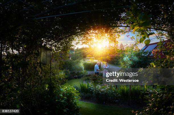 small town garden with sunset lens flare - muted color stock pictures, royalty-free photos & images