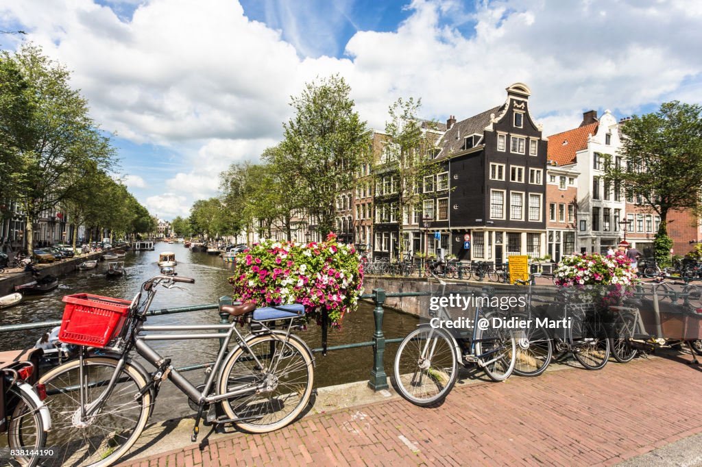 Amsterdam canals and bicycle on a sunny summer day