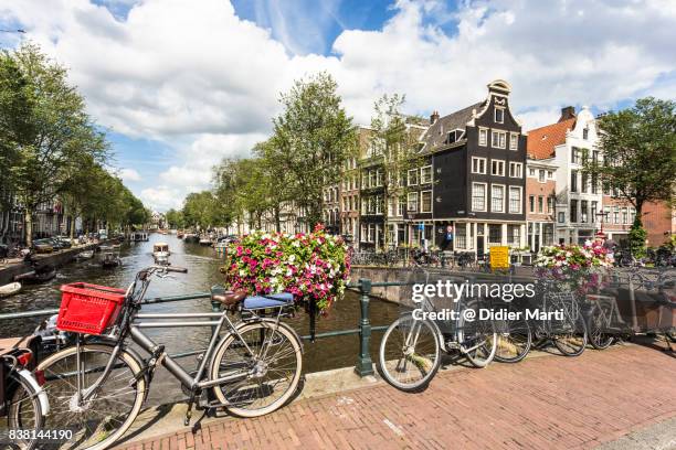 amsterdam canals and bicycle on a sunny summer day - amsterdam canal stock pictures, royalty-free photos & images