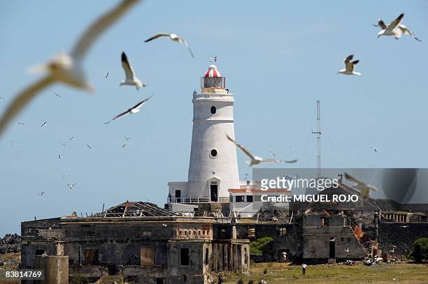 85 fotos e imágenes de Uruguay Flores Island - Getty Images