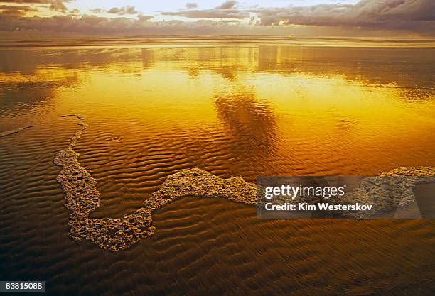 evening gold, sandy beach, low tide ripples, foam - westerskov stock pictures, royalty-free photos & images