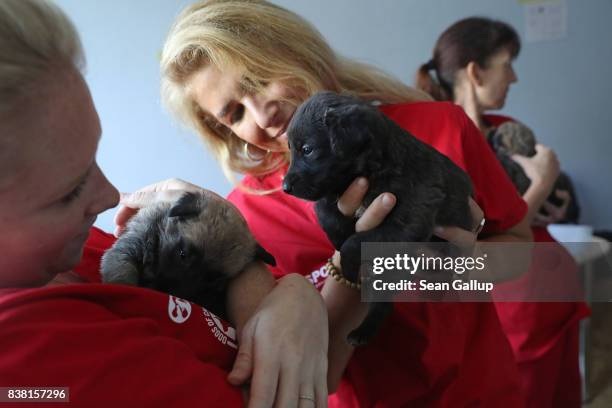 Meredith Ayan , Executive Director of SPCA International, a U.S.-based animal rescue non-profit, SPCA Program Director Lori Kalef and volunteer Kerry...