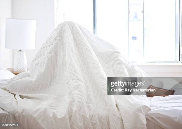 sitting in bed sheets over head horizontal - quilt imagens e fotografias de stock