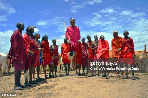 masai dance - african tribal culture 個照片及圖片檔