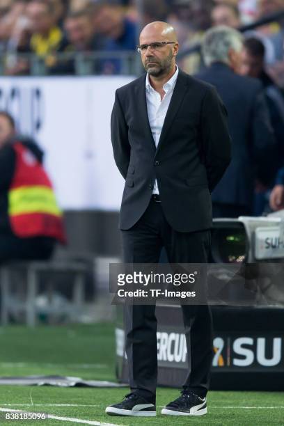 Head coach Peter Bosz of Dortmund looks on during the DFL Supercup 2017 match between Borussia Dortmund and Bayern Muenchen at Signal Iduna Park on...