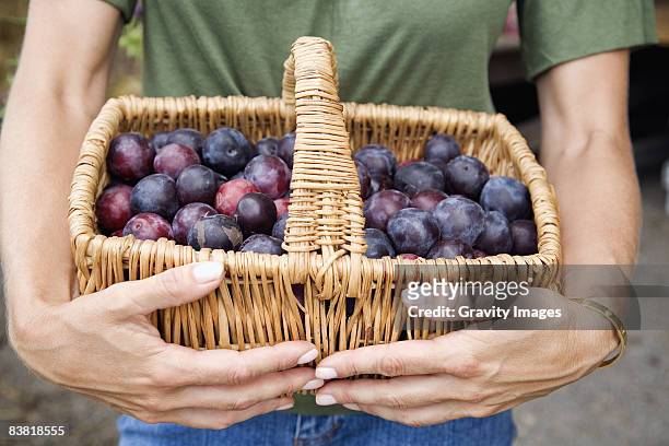 wicker basket of plums - pflaume stock-fotos und bilder