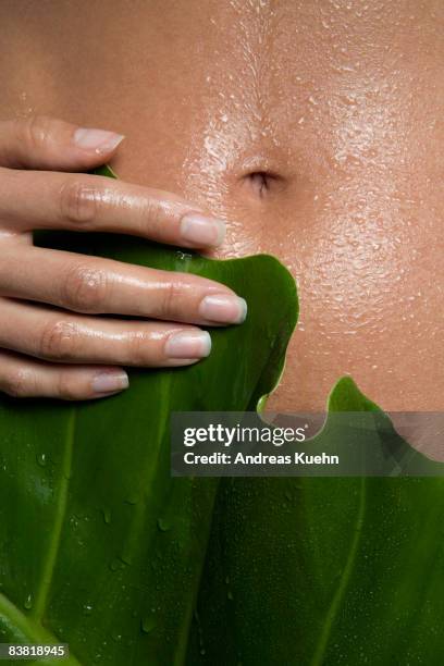 naked woman with leaf in front of stomach, cropped - female navel ストックフォトと画像