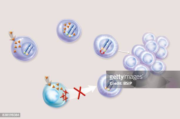 Illustration of the action of pesticides on human cells, increasing the risk of non-Hodgkins lymphoma, Parkinson's disease and prostate cancer. The...
