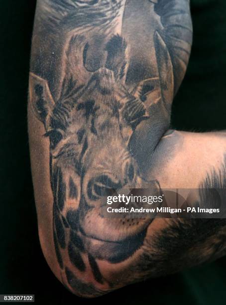Blair Drummond Safari Park keeper Graeme Alexander, shows his tattoo of giraffe Ruby, which he has along with tattoos of zebra Spot, elephant Mondy...