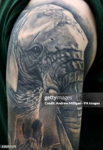 Blair Drummond Safari Park keeper Graeme Alexander, shows his tattoo of elephant Mondy, which he has along with tattoos of giraffe Ruby, zebra Spot...