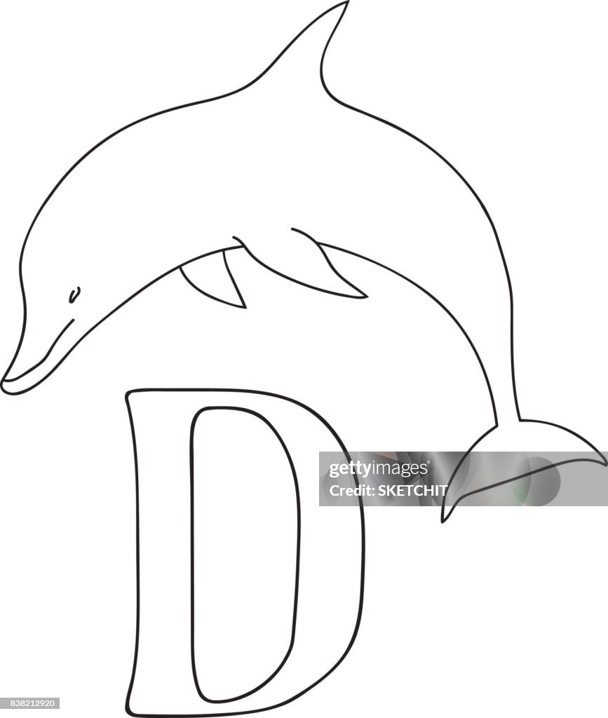 isole abc - 2 Main De Vecteur Dessiné Illustration Majuscule D Sur La Carte De Lalphabet Noir Et Blanc Dauphin Réaliste Isolé Abc Scolarisation Denfants Coloriage Illustration - Getty Images