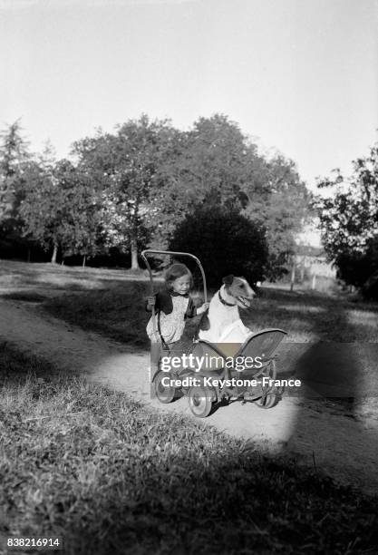 Enfant avec son chien assis dans la poussette, en France en 1951.