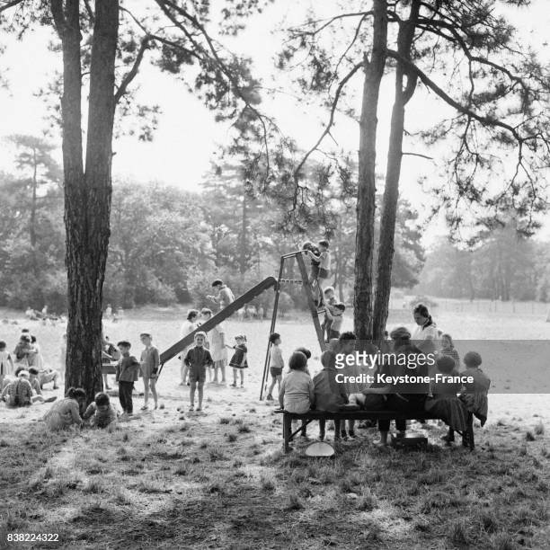 En bordure du terrain de Bagatelle dans le Bois de Boulogne, des enfants font du toboggan pendant que d'autres jouent à l'ombre des arbres, à Paris,...