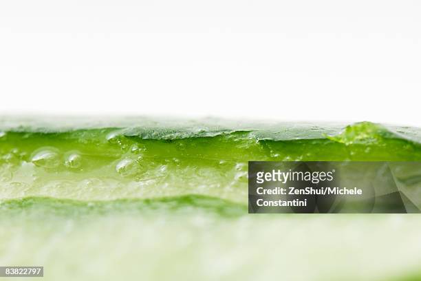 aloe vera, extreme close-up - aloe slices stock pictures, royalty-free photos & images