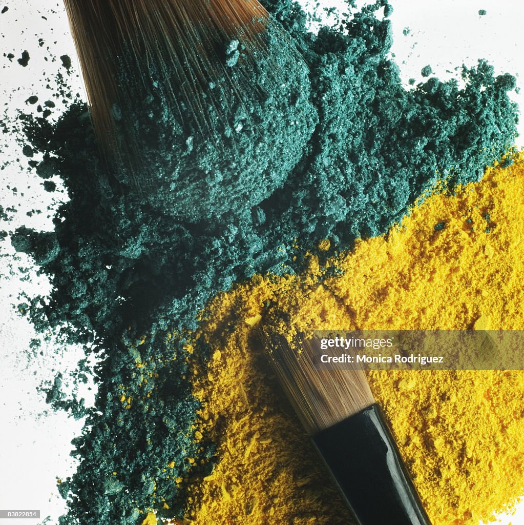 Bright Color Eye Shadows with Eye Shadow Brushes