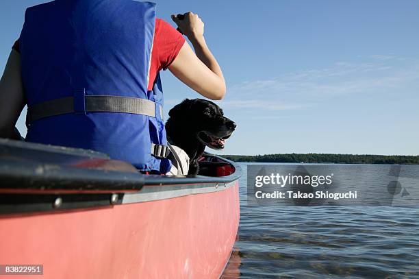 woman paddling a canoe - パリーサウンド ストックフォトと画像