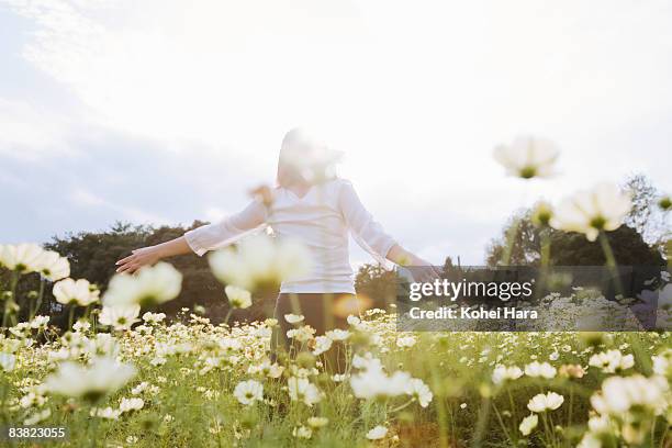 a woman at the flower field - purity foto e immagini stock