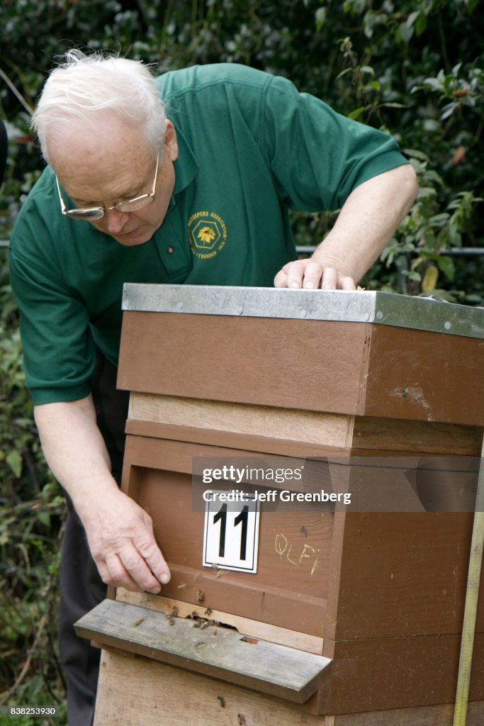 A man looking at a apiary beehive at Manchester Beekeepers.
