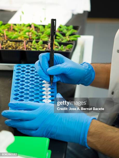 Gmo Label Lab 188 Gmo Labeling Stock Photos, High-Res Pictures, and Images - Getty Images