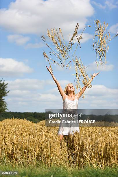 young woman in a wheat field - woman throwing head back stock pictures, royalty-free photos & images
