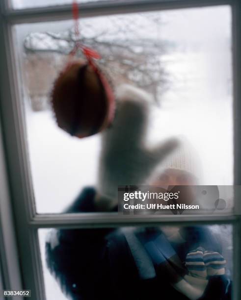 Knock Window 282 Knock Window Stock Photos, High-Res Pictures, and Images - Getty Images