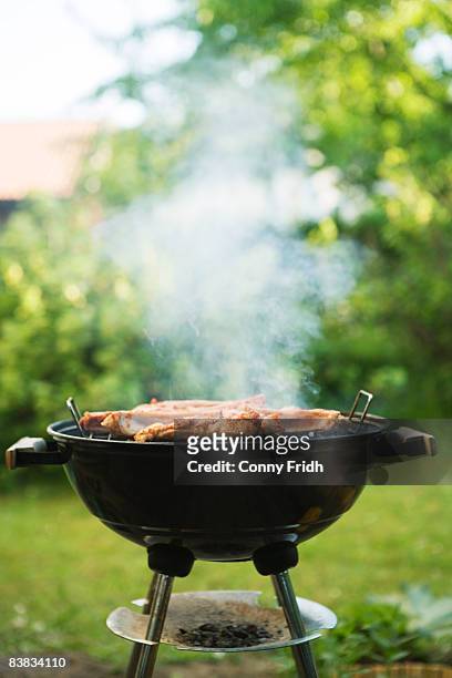 a grill in a garden. - barbecue grill stock pictures, royalty-free photos & images