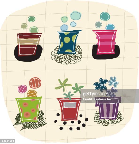 variety of potted plants - pebbles white background stock illustrations