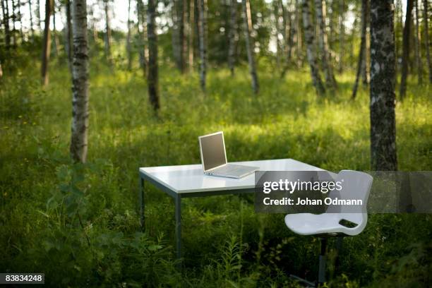 a computer on a white desk in a forest sweden. - glade in the forest fotografías e imágenes de stock