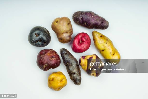 fresh potato - peru américa do sul imagens e fotografias de stock