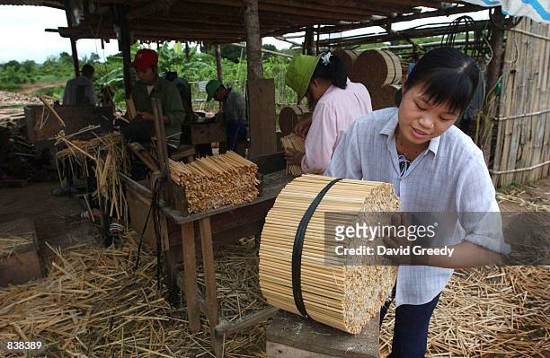 Vietnamese worker puts freshly cut chopsticks into a 20 kilogram bundle on June 18, 2002 at a small roadside chopstick factory in the rural Central...