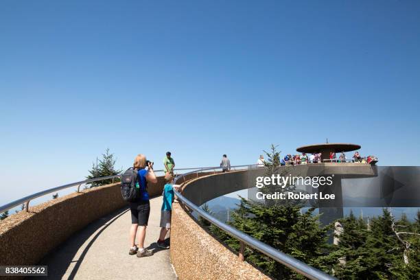 clingmans dome - clingman's dome stock-fotos und bilder