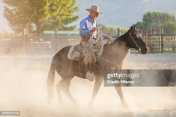 cowboy rodeo reitplatz - portrait hobby freizeit reiten stock-fotos und bilder