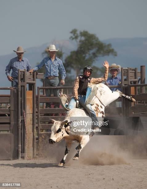 wild west rodeo cowboy riding a bucking white bull - bull riding imagens e fotografias de stock