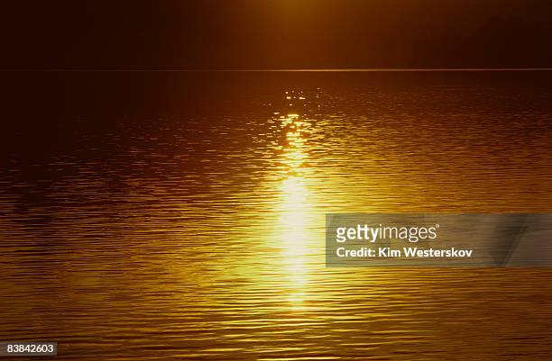 peaceful golden sunlight reflections on harbour - westerskov stock pictures, royalty-free photos & images