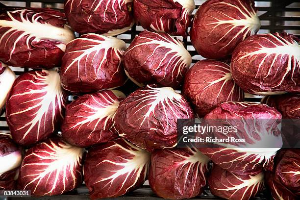 radicchio, close-up - radicchio foto e immagini stock