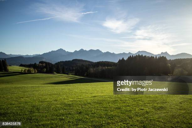 bavarian alps - meadow forest ストックフォトと画像