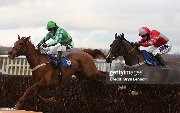 Tony McCoy riding Gone to Lunch jumps the last fence on his way to winning The GPG Novices' Steeple Chase during Newbury Races on November 27, 2008...