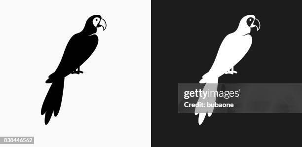 macaw bird icon on black and white vector backgrounds - macaw stock illustrations
